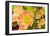 Hollyhocks Collage-Trudy Wilkerson-Framed Art Print