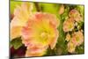 Hollyhocks Collage-Trudy Wilkerson-Mounted Art Print