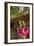 Hollyhocks flowers blooming in Provence region of Southern France.-Michele Niles-Framed Photographic Print