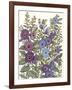 Hollyhocks in Bloom I-Tim O'toole-Framed Art Print