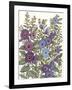 Hollyhocks in Bloom I-Tim O'toole-Framed Art Print