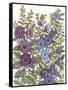 Hollyhocks in Bloom I-Tim O'toole-Framed Stretched Canvas