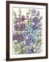 Hollyhocks in Bloom II-Tim O'toole-Framed Art Print