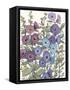 Hollyhocks in Bloom II-Tim O'toole-Framed Stretched Canvas