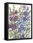 Hollyhocks in Bloom II-Tim O'toole-Framed Stretched Canvas