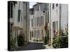 Hollyhocks Lining a Street, La Flotte, Ile De Re, Charente-Maritime, France, Europe-Richardson Peter-Stretched Canvas
