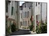 Hollyhocks Lining a Street, La Flotte, Ile De Re, Charente-Maritime, France, Europe-Richardson Peter-Mounted Photographic Print