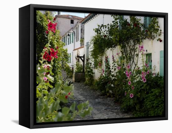 Hollyhocks Lining a Street with a Well, La Flotte, Ile De Re, Charente-Maritime, France, Europe-Richardson Peter-Framed Stretched Canvas