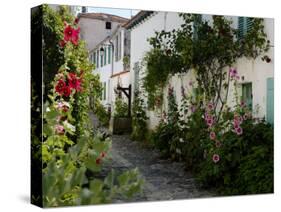 Hollyhocks Lining a Street with a Well, La Flotte, Ile De Re, Charente-Maritime, France, Europe-Richardson Peter-Stretched Canvas