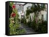 Hollyhocks Lining a Street with a Well, La Flotte, Ile De Re, Charente-Maritime, France, Europe-Richardson Peter-Framed Stretched Canvas