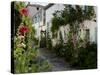 Hollyhocks Lining a Street with a Well, La Flotte, Ile De Re, Charente-Maritime, France, Europe-Richardson Peter-Stretched Canvas