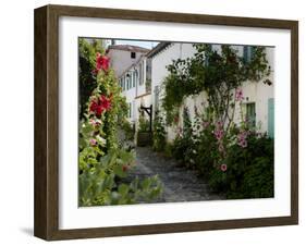 Hollyhocks Lining a Street with a Well, La Flotte, Ile De Re, Charente-Maritime, France, Europe-Richardson Peter-Framed Photographic Print