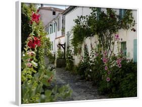 Hollyhocks Lining a Street with a Well, La Flotte, Ile De Re, Charente-Maritime, France, Europe-Richardson Peter-Framed Photographic Print