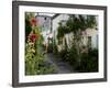 Hollyhocks Lining a Street with a Well, La Flotte, Ile De Re, Charente-Maritime, France, Europe-Richardson Peter-Framed Photographic Print