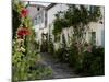 Hollyhocks Lining a Street with a Well, La Flotte, Ile De Re, Charente-Maritime, France, Europe-Richardson Peter-Mounted Photographic Print