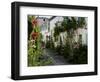 Hollyhocks Lining a Street with a Well, La Flotte, Ile De Re, Charente-Maritime, France, Europe-Richardson Peter-Framed Photographic Print