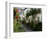 Hollyhocks Lining a Street with a Well, La Flotte, Ile De Re, Charente-Maritime, France, Europe-Richardson Peter-Framed Photographic Print