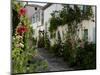 Hollyhocks Lining a Street with a Well, La Flotte, Ile De Re, Charente-Maritime, France, Europe-Richardson Peter-Mounted Photographic Print