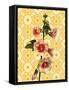 Hollyhocks on Sunshine, 2021 (w/c)-Helen White-Framed Stretched Canvas