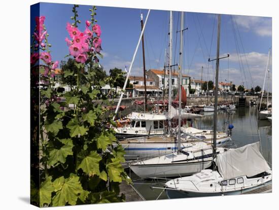 Hollyhocks on the Quayside, Ars-En-Re, Ile De Re, Charente Maritime, France, Europe-Peter Richardson-Stretched Canvas