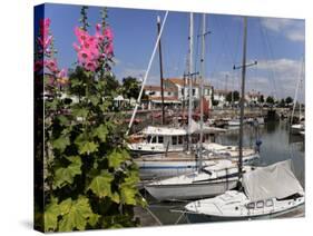 Hollyhocks on the Quayside, Ars-En-Re, Ile De Re, Charente Maritime, France, Europe-Peter Richardson-Stretched Canvas