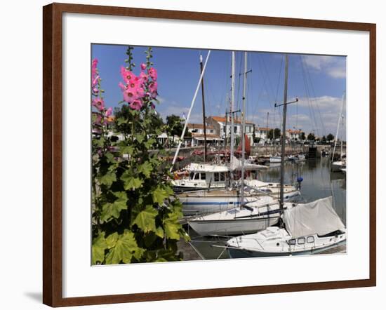 Hollyhocks on the Quayside, Ars-En-Re, Ile De Re, Charente Maritime, France, Europe-Peter Richardson-Framed Photographic Print