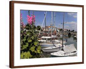 Hollyhocks on the Quayside, Ars-En-Re, Ile De Re, Charente Maritime, France, Europe-Peter Richardson-Framed Photographic Print