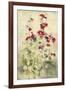 Hollyhocks Panel I-Cheri Blum-Framed Art Print