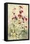 Hollyhocks Panel I-Cheri Blum-Framed Stretched Canvas