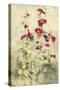 Hollyhocks Panel I-Cheri Blum-Stretched Canvas