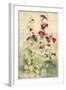 Hollyhocks Panel I-Cheri Blum-Framed Art Print