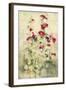 Hollyhocks Panel I-Cheri Blum-Framed Art Print