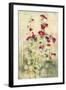 Hollyhocks Panel I-Cheri Blum-Framed Art Print