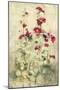 Hollyhocks Panel I-Cheri Blum-Mounted Art Print