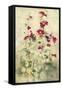 Hollyhocks Panel I-Cheri Blum-Framed Stretched Canvas