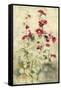 Hollyhocks Panel I-Cheri Blum-Framed Stretched Canvas