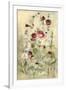 Hollyhocks Panel II-Cheri Blum-Framed Art Print