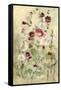 Hollyhocks Panel II-Cheri Blum-Framed Stretched Canvas