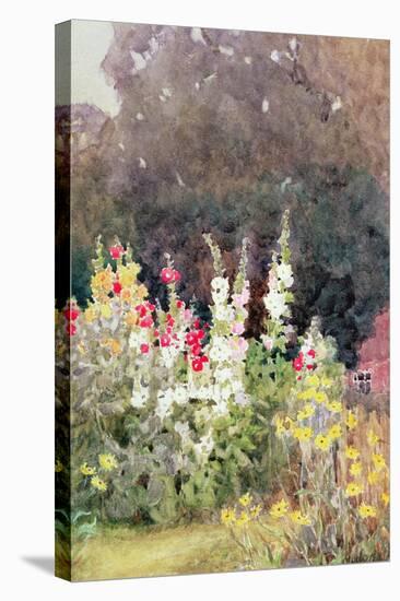 Hollyhocks-Helen Allingham-Stretched Canvas