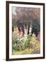 Hollyhocks-Helen Allingham-Framed Giclee Print