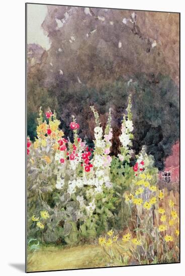 Hollyhocks-Helen Allingham-Mounted Giclee Print