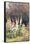 Hollyhocks-Helen Allingham-Framed Stretched Canvas