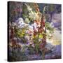 Hollyhocks-Marry Herrick Ross-Stretched Canvas