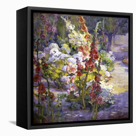 Hollyhocks-Marry Herrick Ross-Framed Stretched Canvas