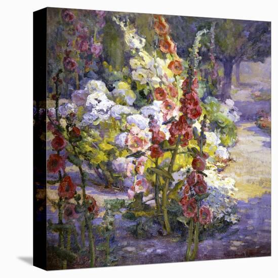 Hollyhocks-Marry Herrick Ross-Stretched Canvas