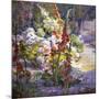 Hollyhocks-Marry Herrick Ross-Mounted Art Print