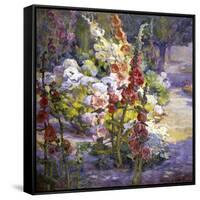 Hollyhocks-Marry Herrick Ross-Framed Stretched Canvas