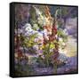 Hollyhocks-Marry Herrick Ross-Framed Stretched Canvas