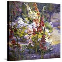 Hollyhocks-Marry Herrick Ross-Stretched Canvas