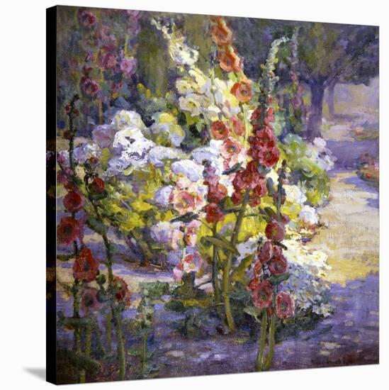 Hollyhocks-Marry Herrick Ross-Stretched Canvas
